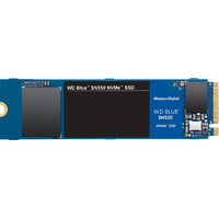 WD SN550 M.2 WDS100T2B0C